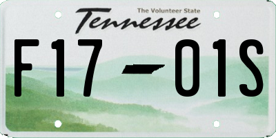 TN license plate F1701S