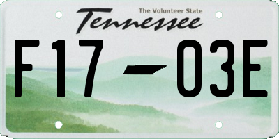 TN license plate F1703E