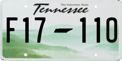 TN license plate F1711O