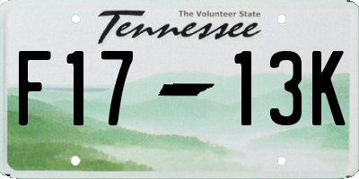TN license plate F1713K