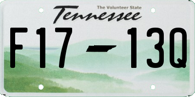 TN license plate F1713Q