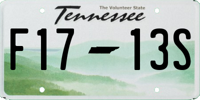 TN license plate F1713S