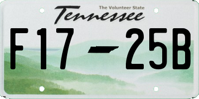 TN license plate F1725B