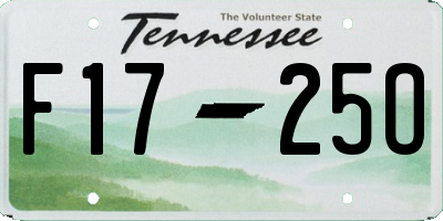 TN license plate F1725O
