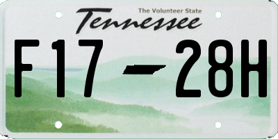 TN license plate F1728H