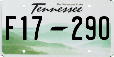 TN license plate F1729O
