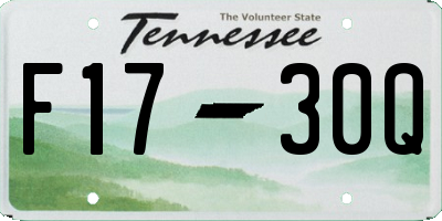 TN license plate F1730Q
