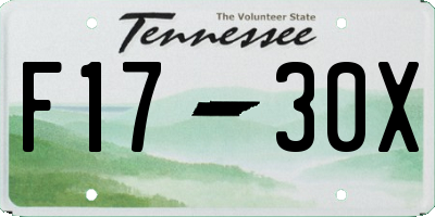 TN license plate F1730X