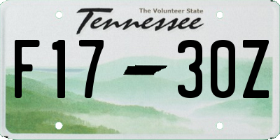 TN license plate F1730Z