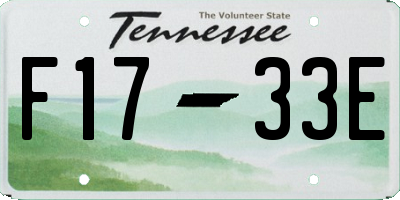 TN license plate F1733E