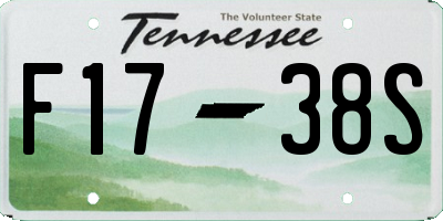 TN license plate F1738S