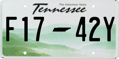 TN license plate F1742Y
