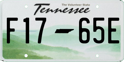 TN license plate F1765E