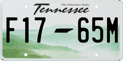 TN license plate F1765M