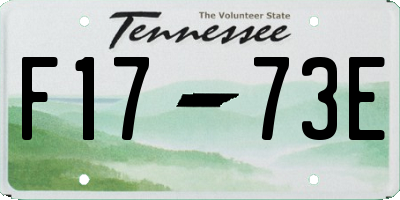 TN license plate F1773E