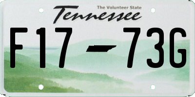 TN license plate F1773G