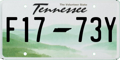 TN license plate F1773Y