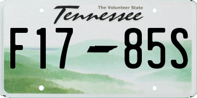 TN license plate F1785S