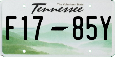 TN license plate F1785Y