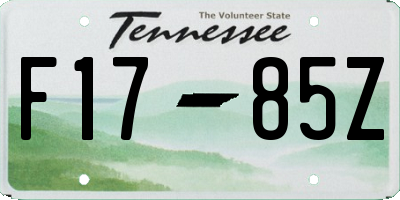 TN license plate F1785Z