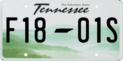 TN license plate F1801S