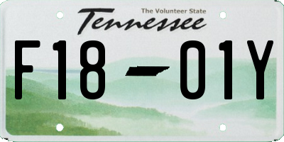 TN license plate F1801Y