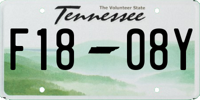 TN license plate F1808Y