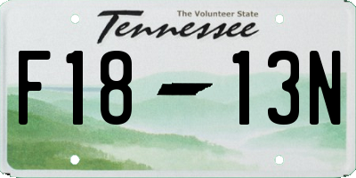TN license plate F1813N