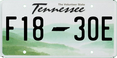 TN license plate F1830E
