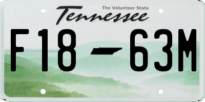 TN license plate F1863M