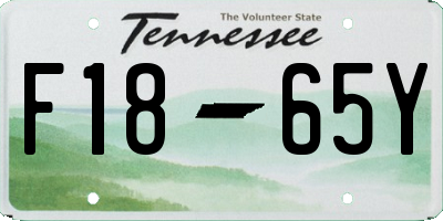 TN license plate F1865Y