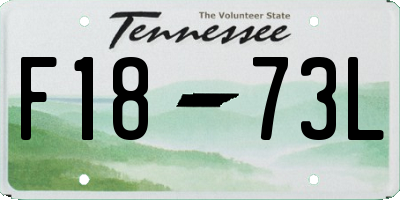TN license plate F1873L