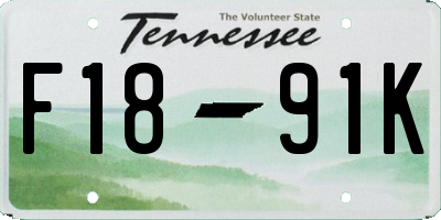 TN license plate F1891K