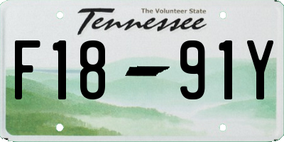 TN license plate F1891Y