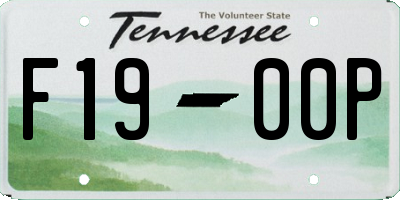TN license plate F1900P