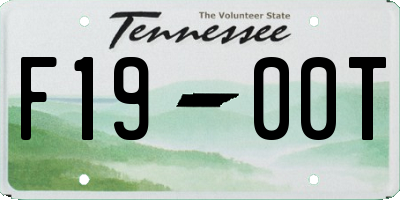 TN license plate F1900T
