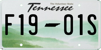 TN license plate F1901S
