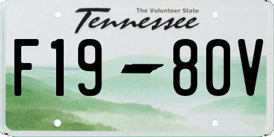 TN license plate F1980V
