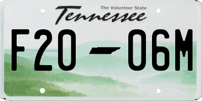 TN license plate F2006M