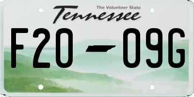 TN license plate F2009G