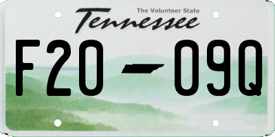 TN license plate F2009Q