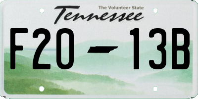 TN license plate F2013B