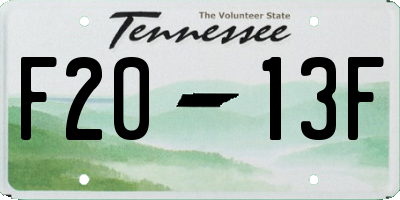 TN license plate F2013F