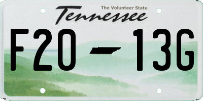 TN license plate F2013G