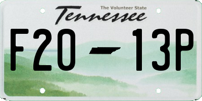 TN license plate F2013P