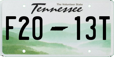 TN license plate F2013T
