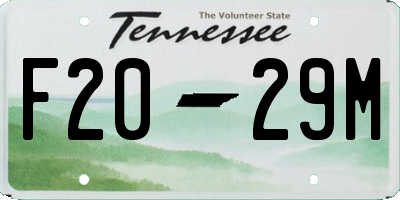 TN license plate F2029M