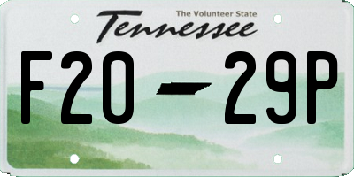 TN license plate F2029P