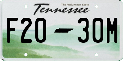 TN license plate F2030M