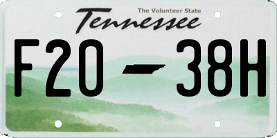 TN license plate F2038H